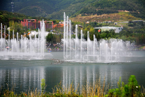 2014青岛世界园艺博览会的音乐喷泉